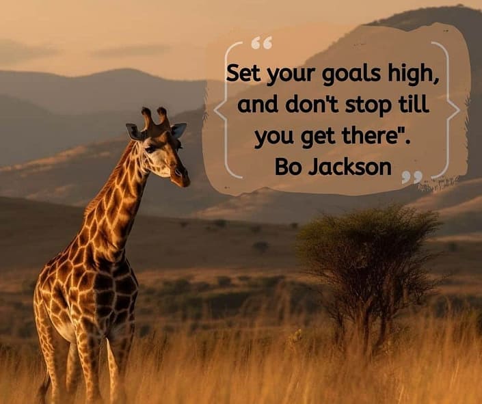 A giraffe standing on the plains with a quote from Bo Jackson "Set your goals high, and don't stop till you get there."