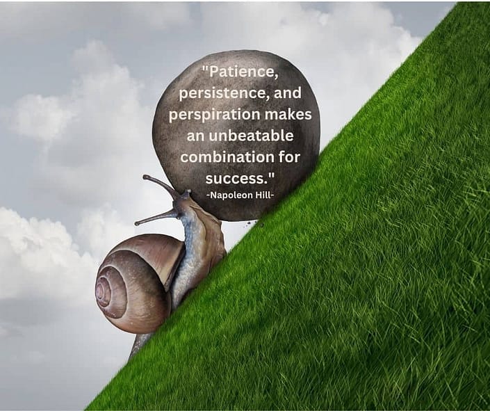 A picture of a snail pushing a rock up a hill with the quote from Napoleon Hill "Patience, persistence, and perspiration make an unbeatable combination for success."