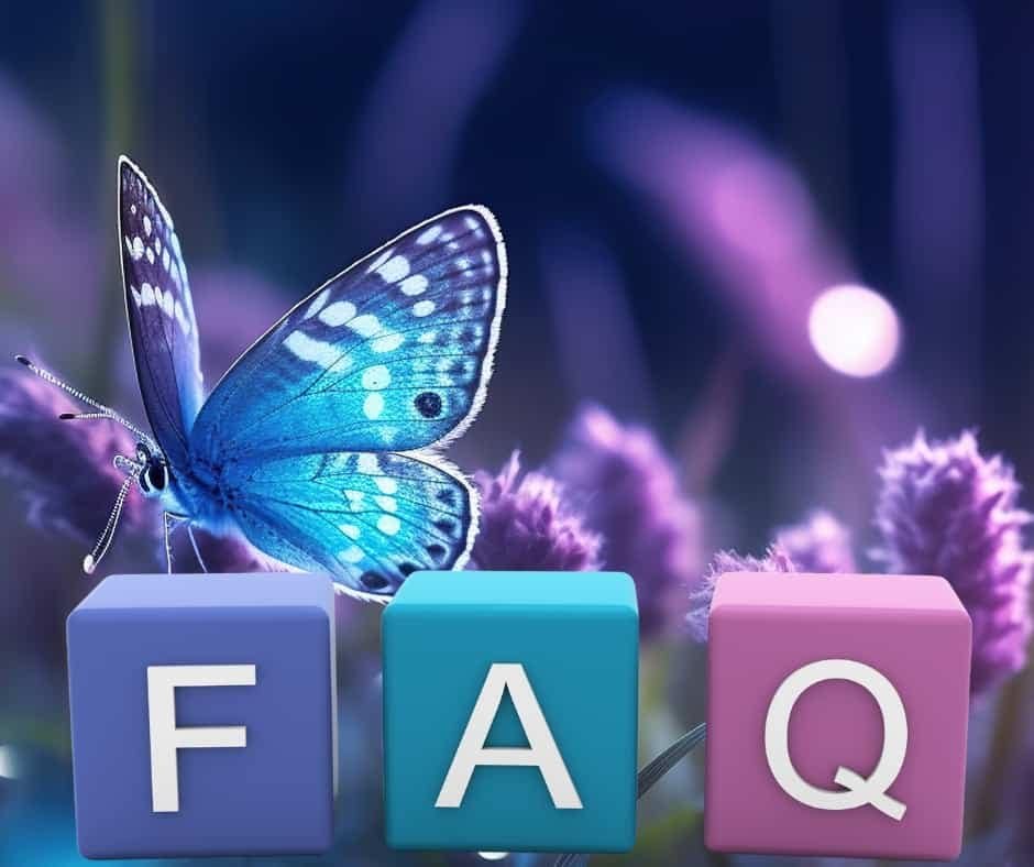 A butterfly in vibrant colors with the letters FAQ in blocks